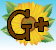 Google Plus