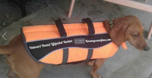 Outward Hound Lifejacket from the Kyjen Company Review 