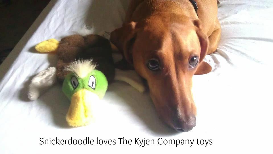 Mini Squeaker Mallard Mat by Kyjen Review