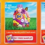 Capture (1) (1).jp
